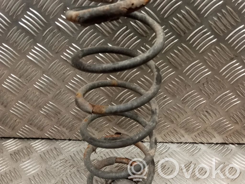 Rear coil spring