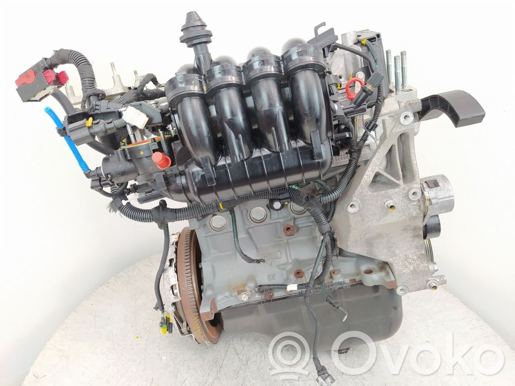 Variklis   169A4000