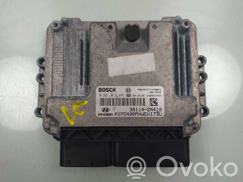 Engine control unit/module   391142A410,0281016491