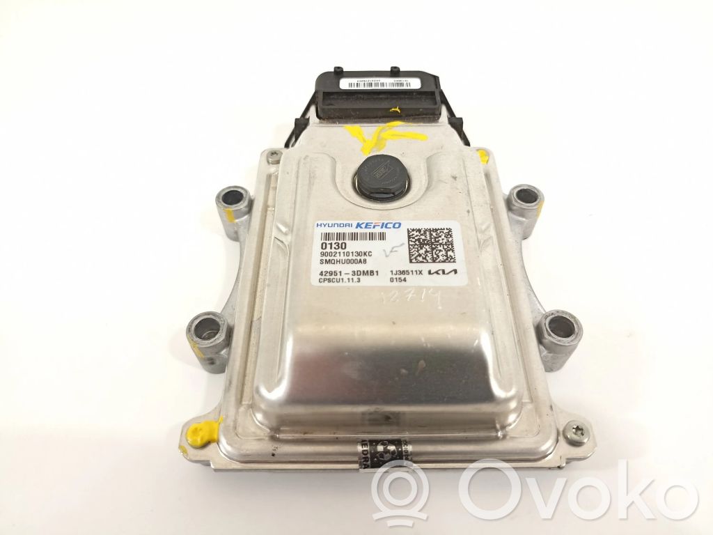 Engine control unit/module   429513DMB1