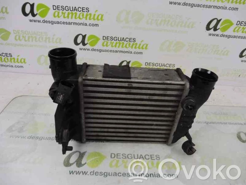 Radiador intercooler   8E0145805N