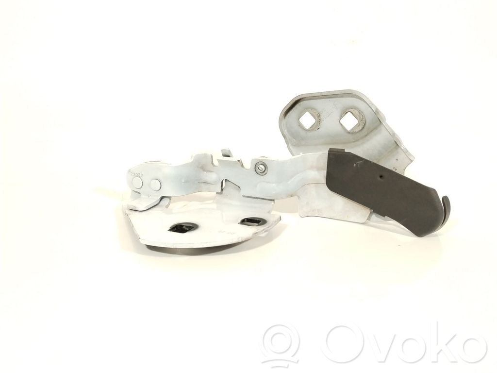 Tesla Model S Engine bonnet/hood hinges 