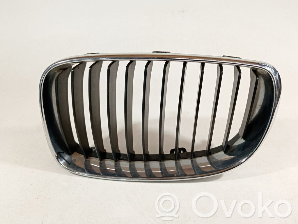 Front grill   51137166439,51137179655,22405910
