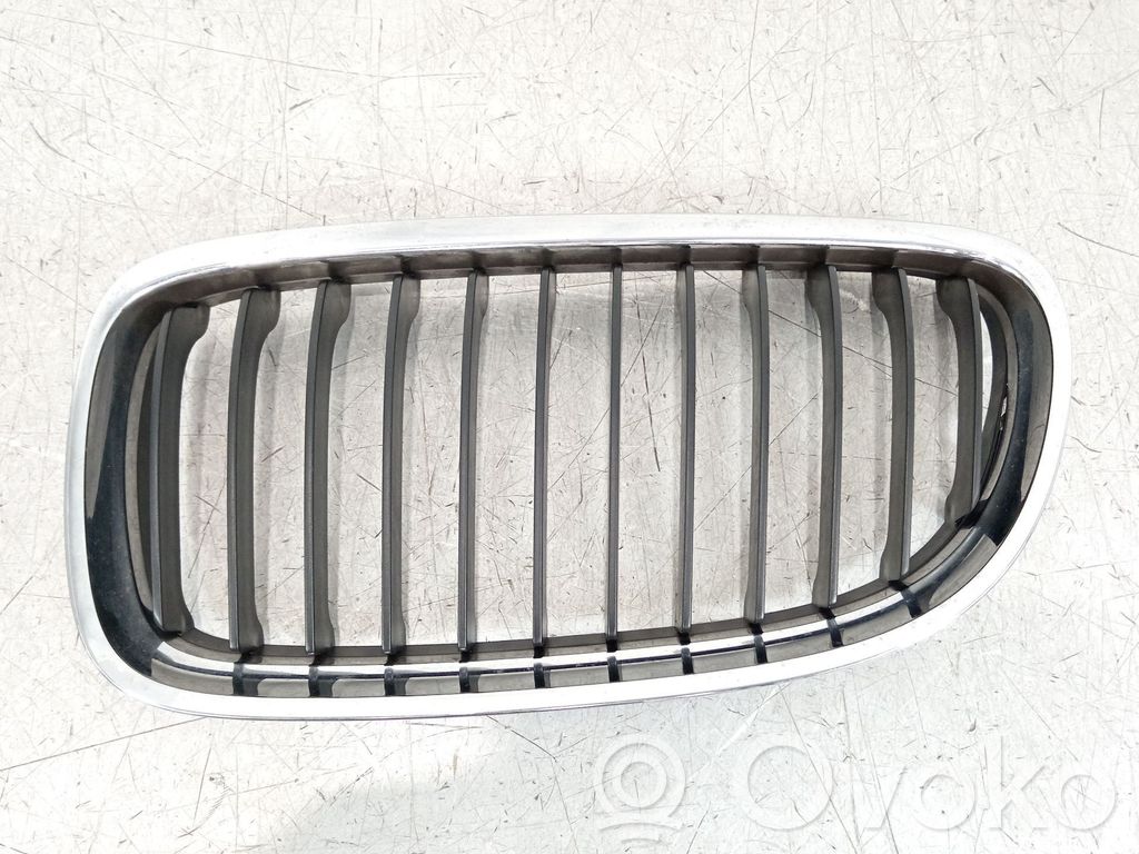 Rejilla delantera   51137201967,22405910
