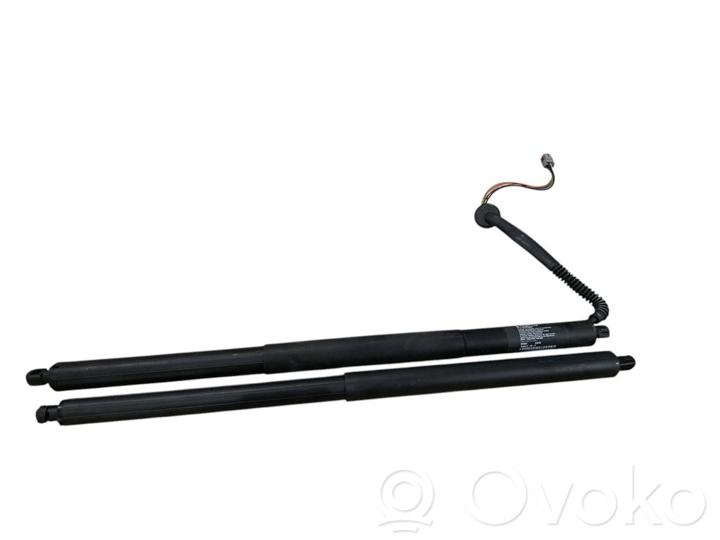 Tesla Model S Plaid Tailgate/trunk strut/damper 