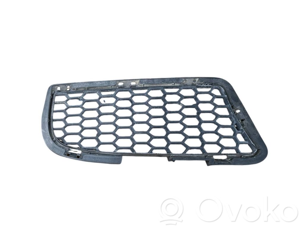BMW M5 Front bumper lower grill 