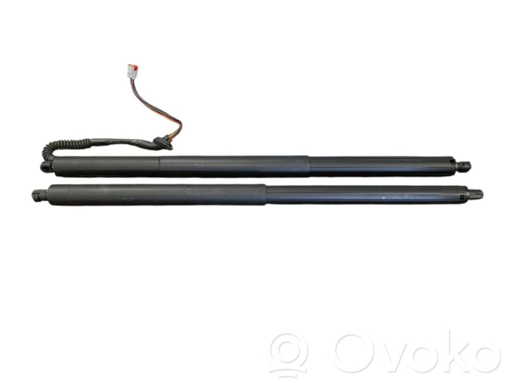 Tesla Model S Plaid Tailgate/trunk strut/damper 