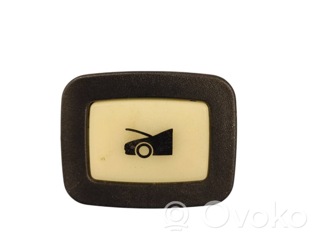 Tailgate opening switch   100206600A