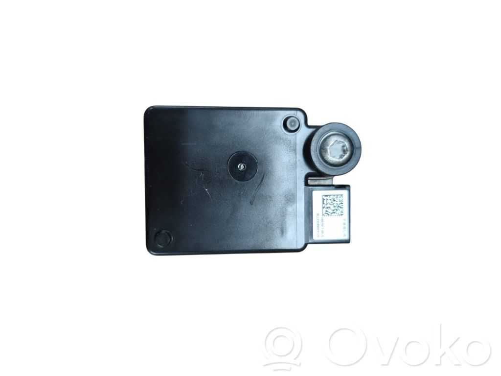 Tesla Model Y Other control units/modules 