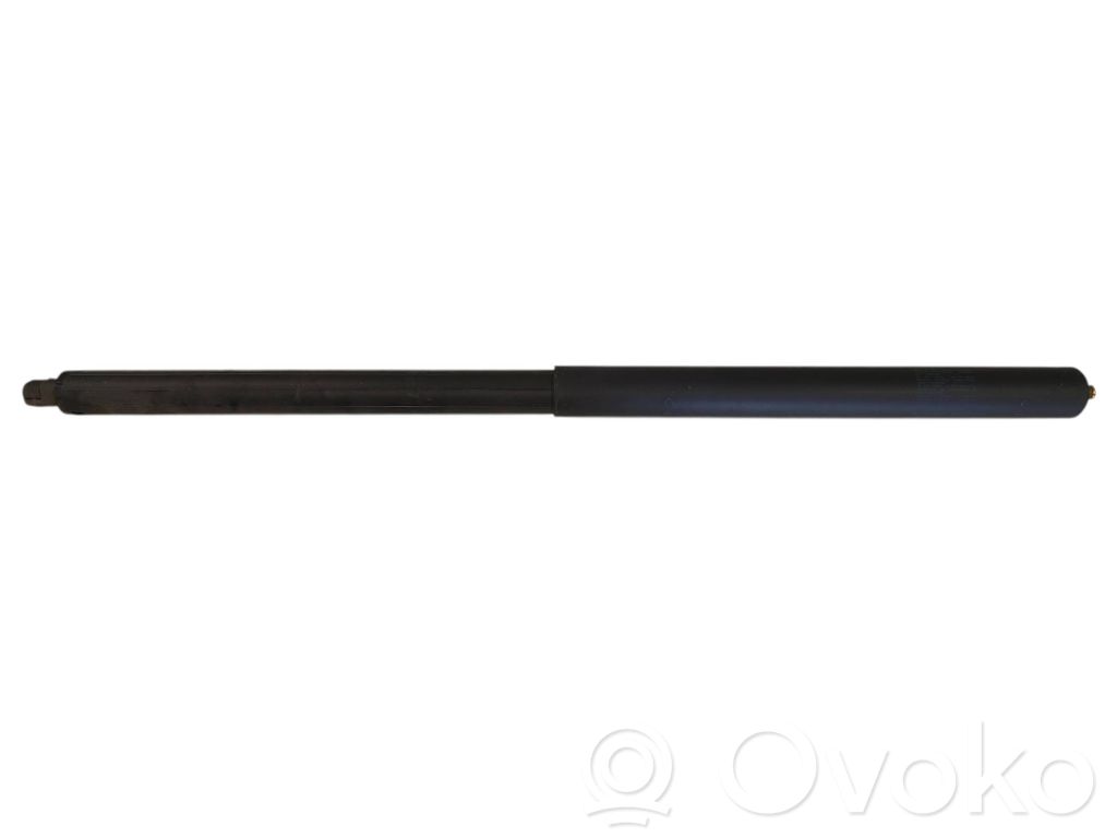 Tesla Model S Tailgate/trunk strut/damper 