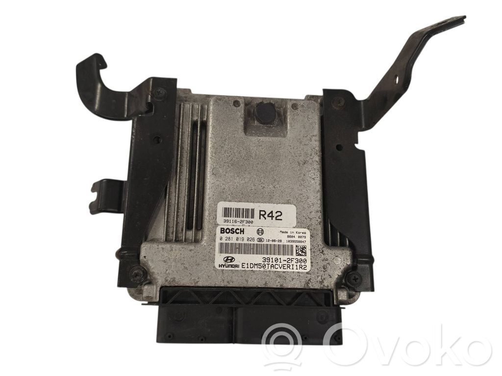Hyundai Santa Fe Engine control unit/module 