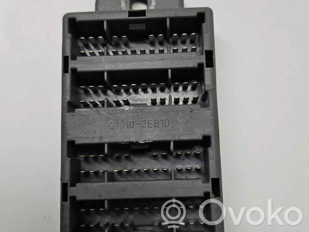 Other control units/modules   913103E810
