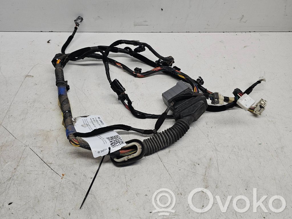 KIA Sorento Cableado de puerta delantera 