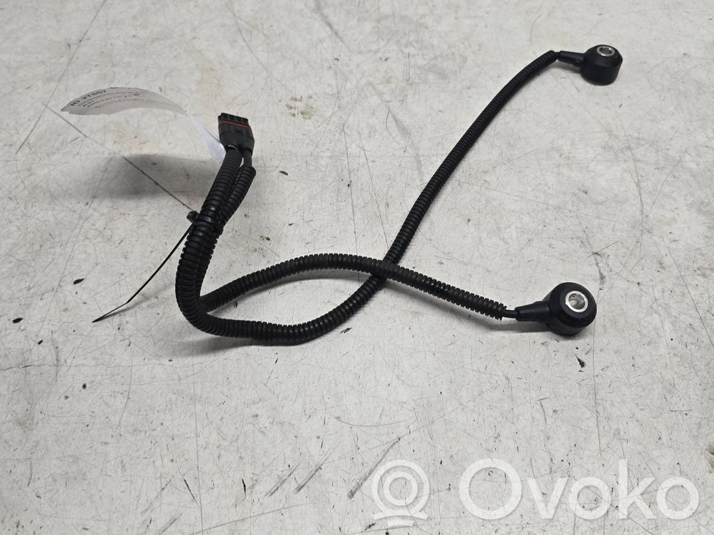 BMW 5 GT F07 Sensor de petardeo del motor 