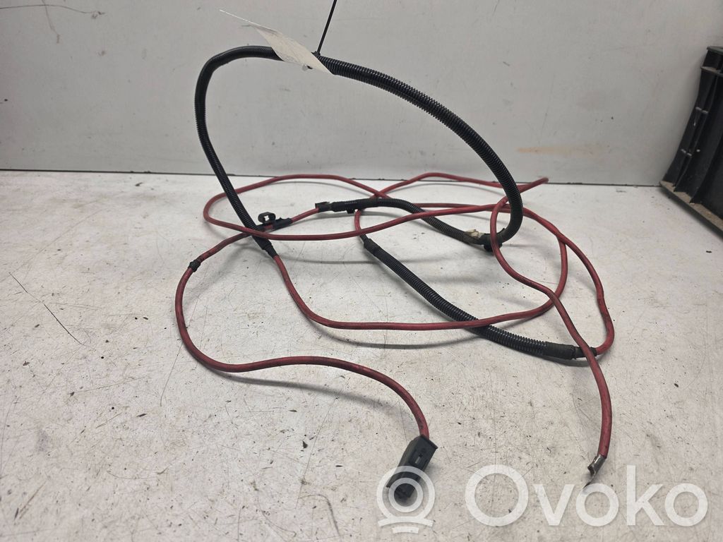 Other wiring loom   6900545