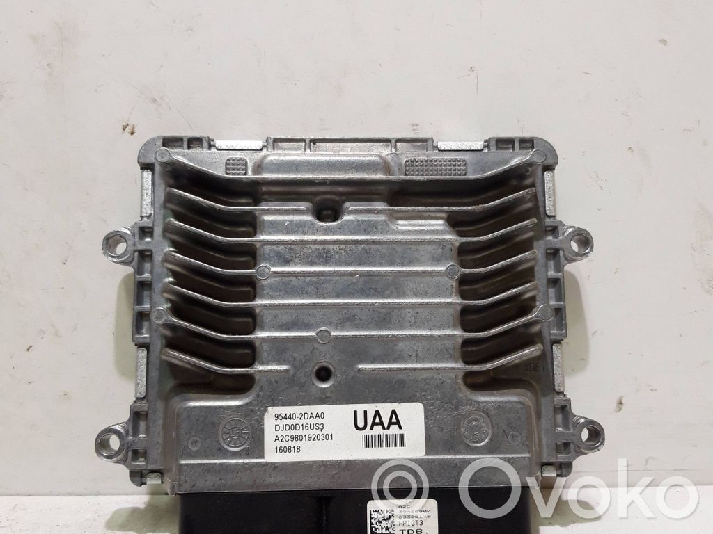 Engine control unit/module   954402DAA0,A2C9801920301