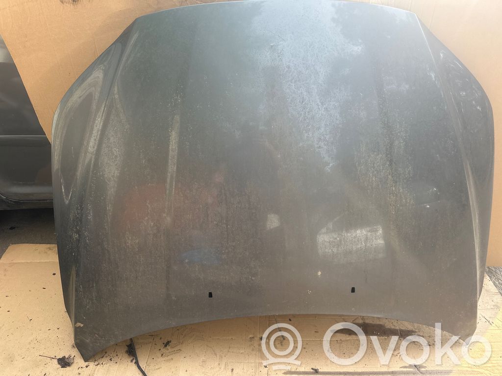 Engine bonnet/hood