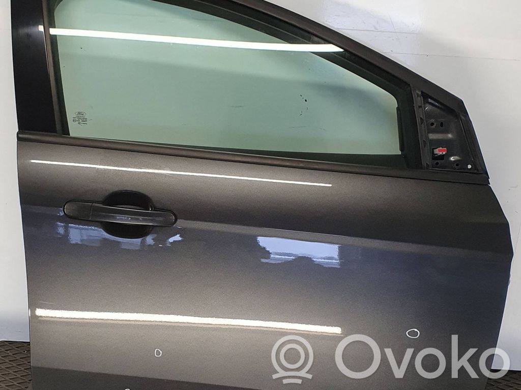 Ford Focus Front door 