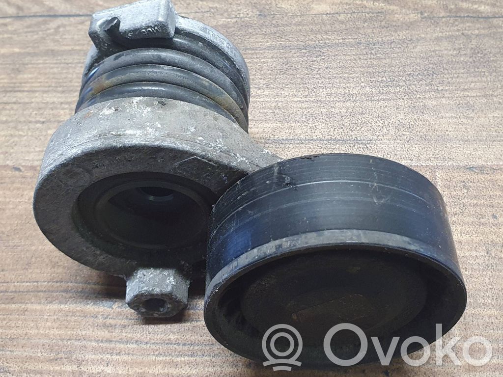 Mercedes-Benz Citan W415 Întinzător curea generator/alternator 