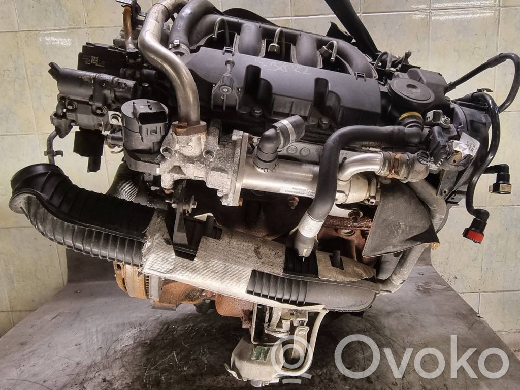 Variklis   G6DG,D4204T,8V4Q6007AB,6906242