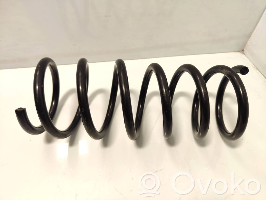 Rear coil spring