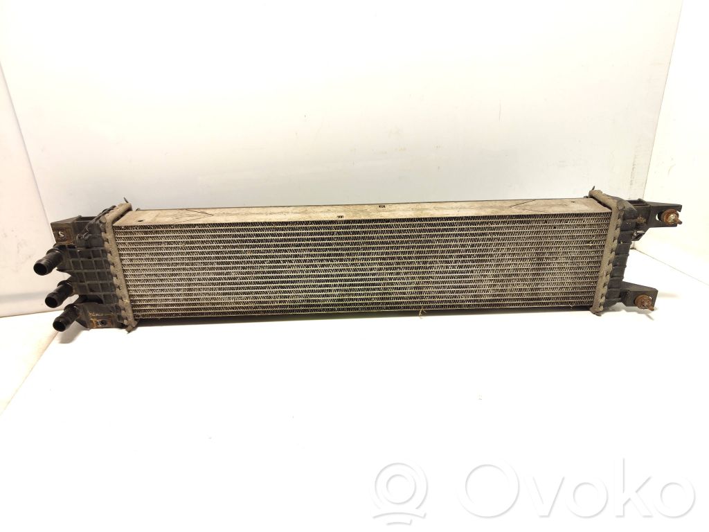 Interkūlerio radiatorius   DG938D048AC,DY535001,8021513013