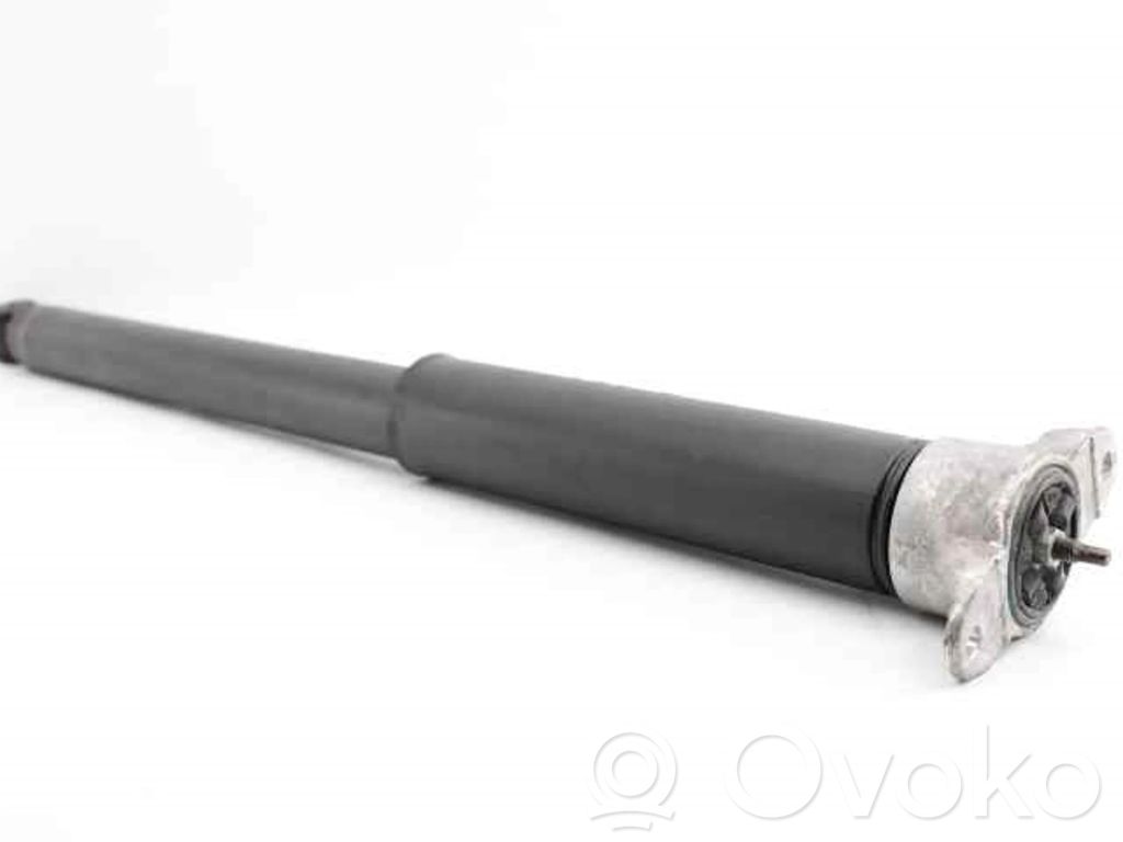 Galinis amortizatorius   BV6118080LAB