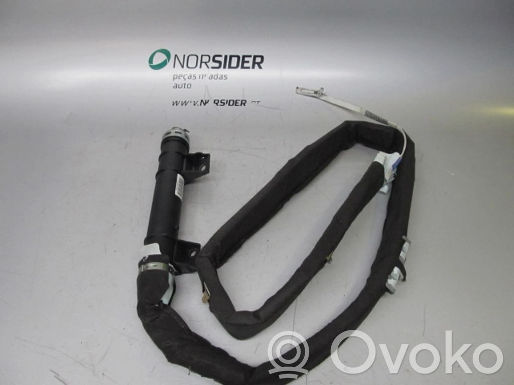 Renault Laguna II Airbag del techo 