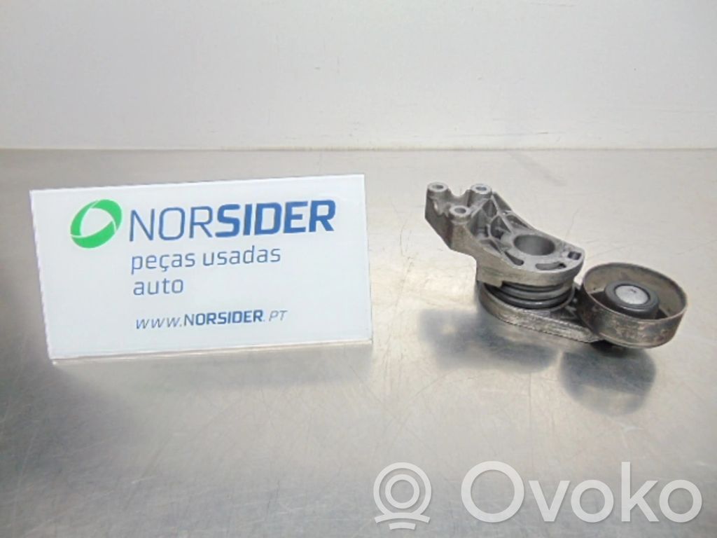 Seat Ibiza III (6L) Tensor de correa del alternador 
