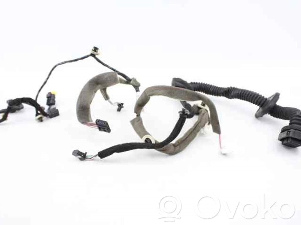 Renault Megane III Cableado de puerta delantera 