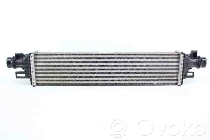 Intercooler radiator   13472371,39059786
