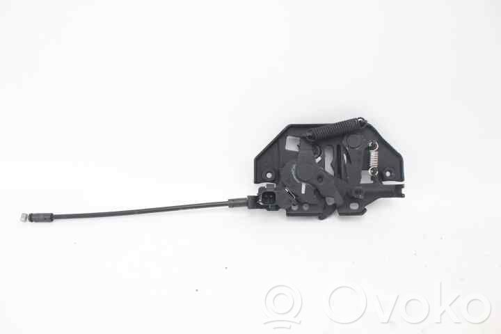 Tie down hook / loop   1806140,CN1A16700
