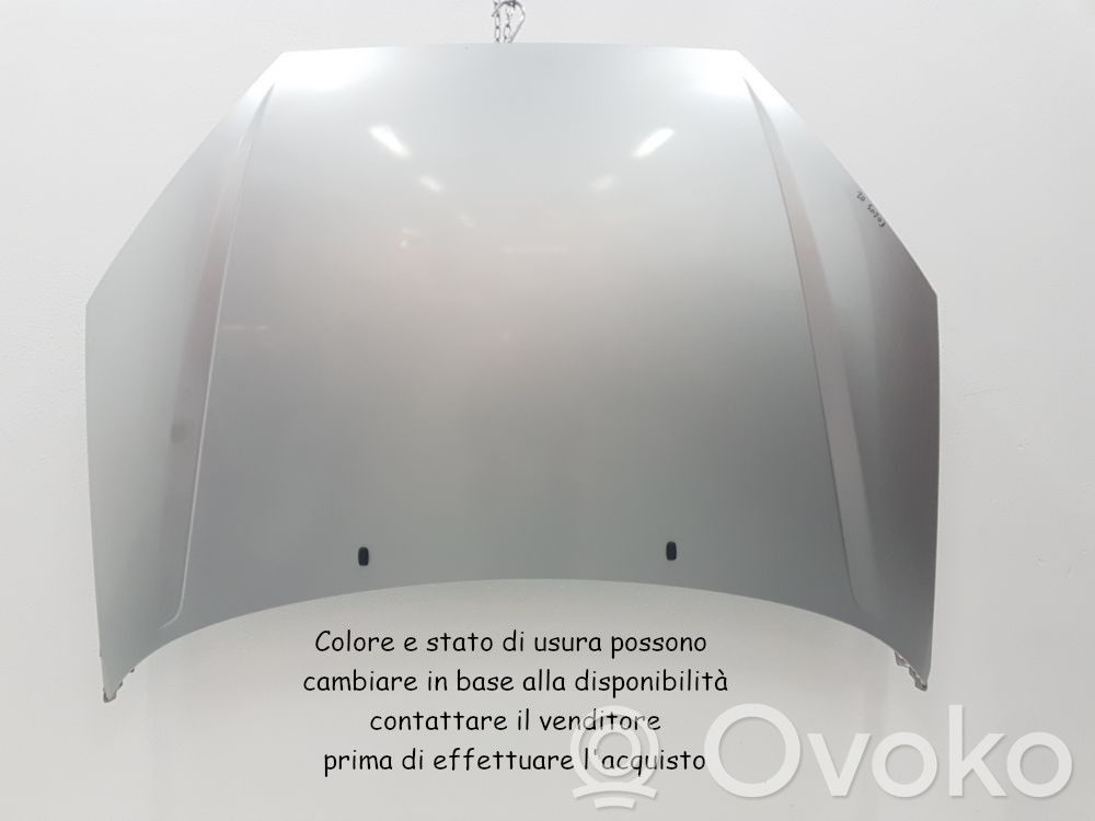 Engine bonnet/hood   1430131,1430131,F9DA
