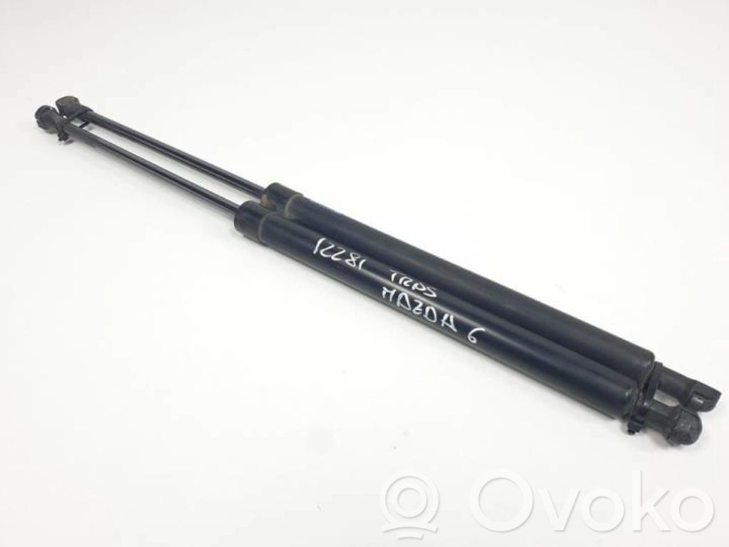 Tailgate/trunk strut/damper