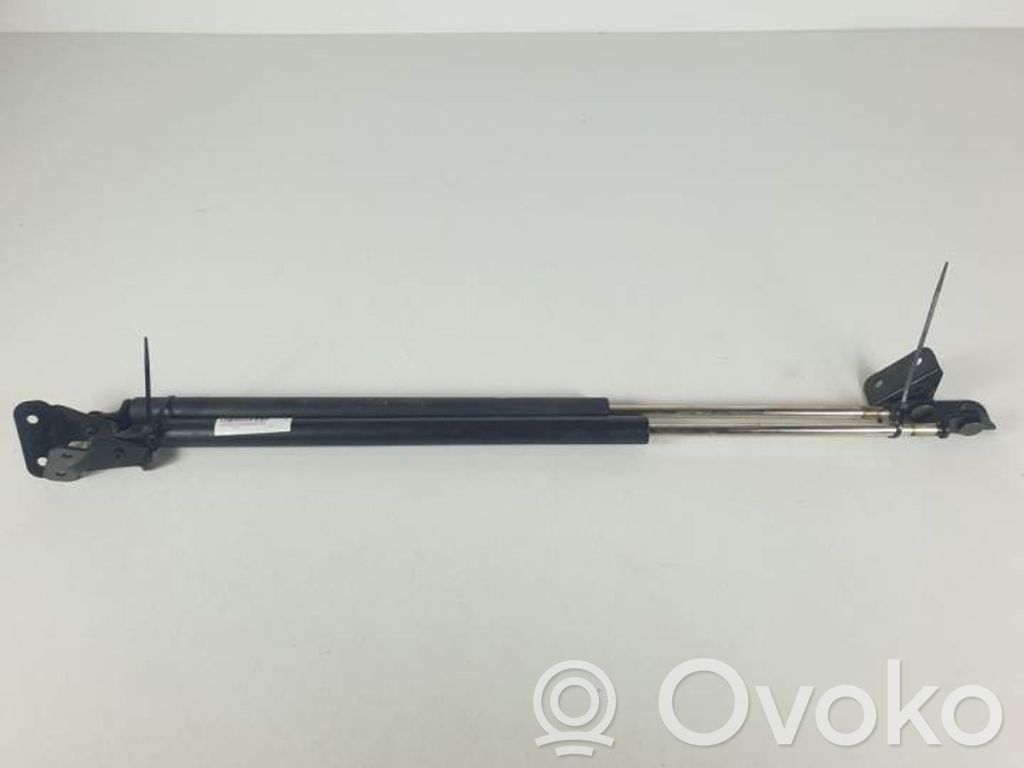 Tailgate/trunk strut/damper