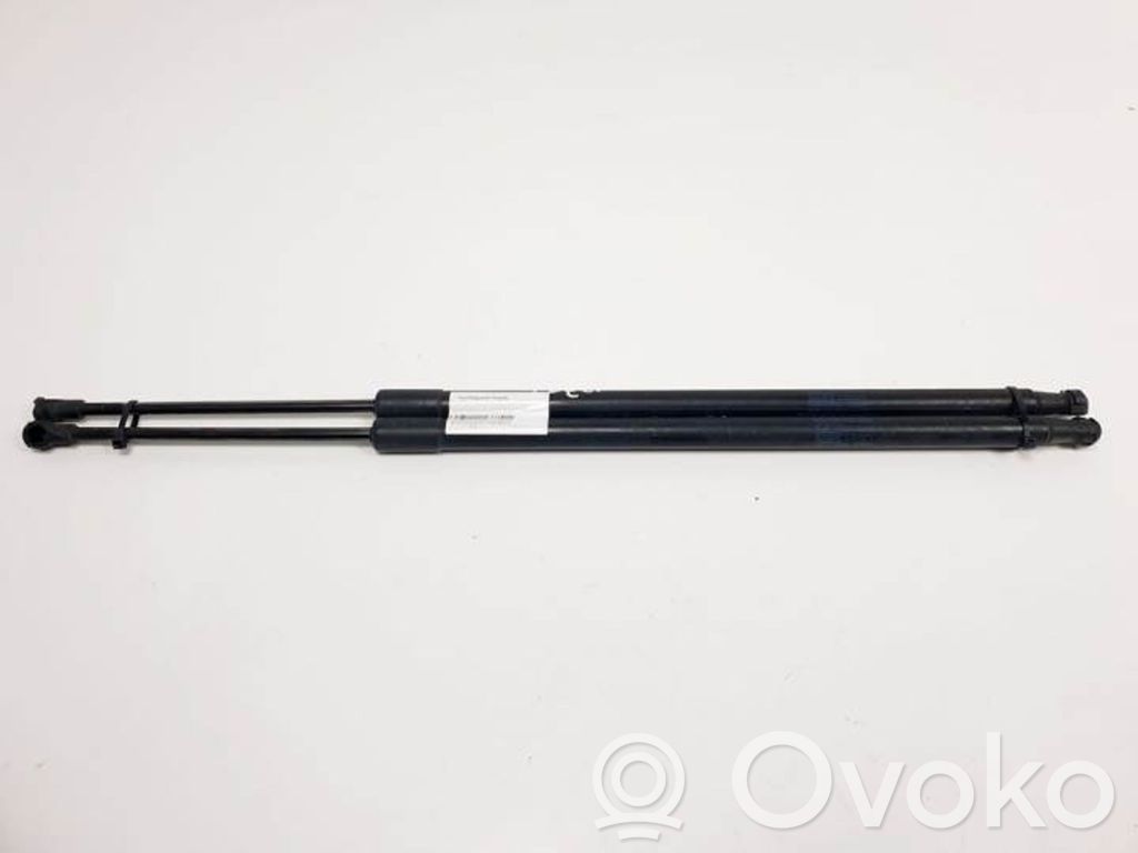 Tailgate/trunk strut/damper   904509U00B