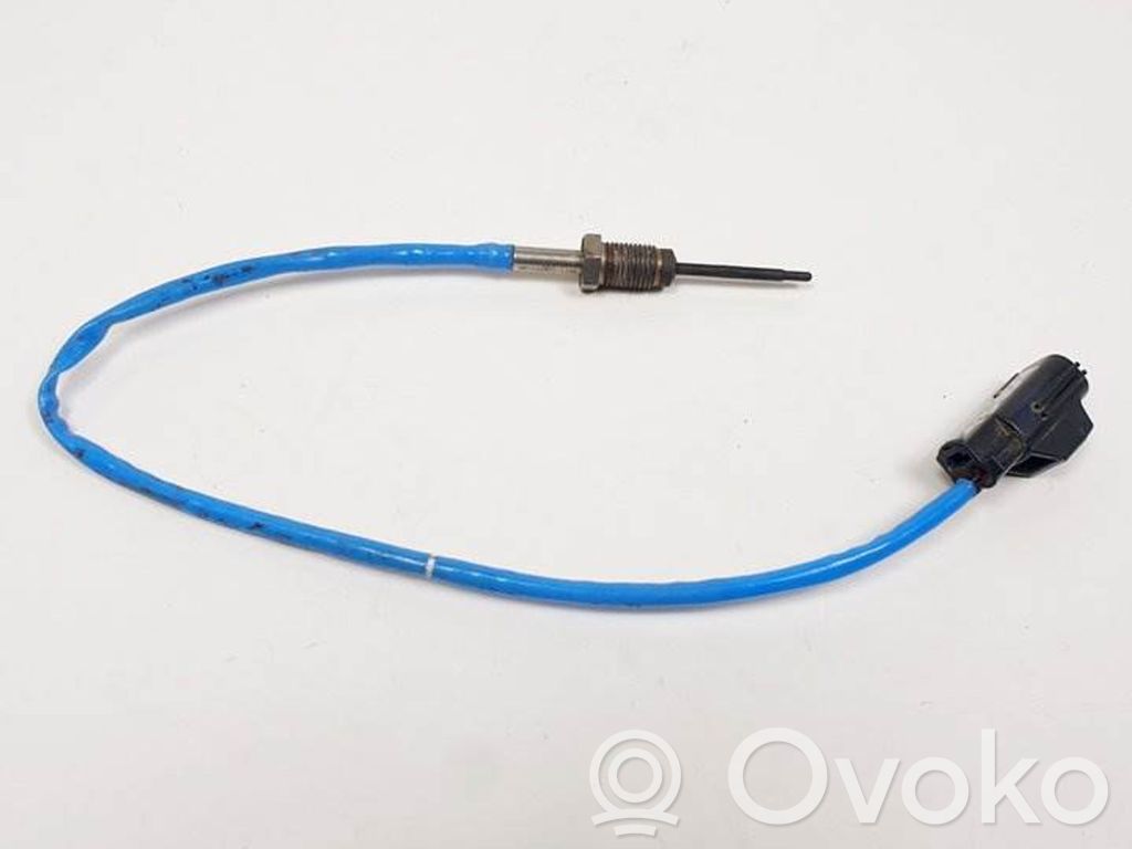 Ford Focus Cita veida sensors 