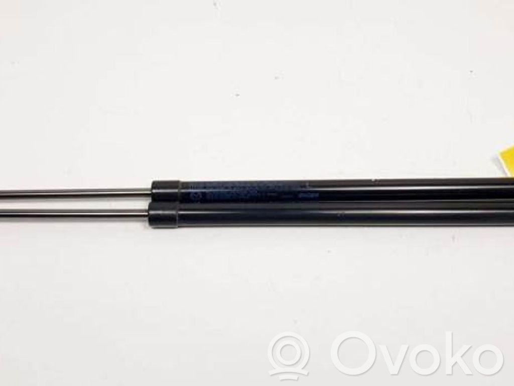 Tailgate/trunk strut/damper