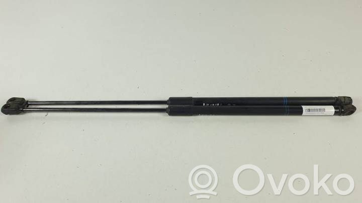 Tailgate/trunk strut/damper   39089133,315005777