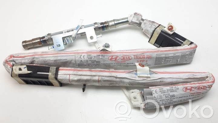 Airbag del techo   850201Y000,1Y85020000
