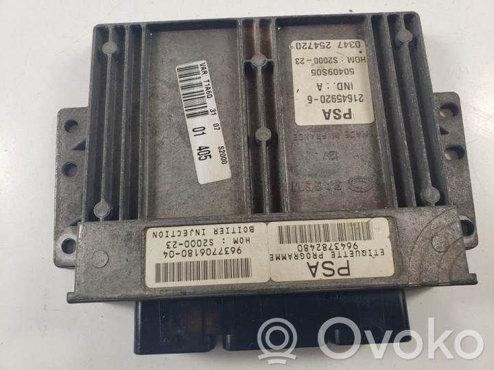 Engine control unit/module   216459206,963770618004