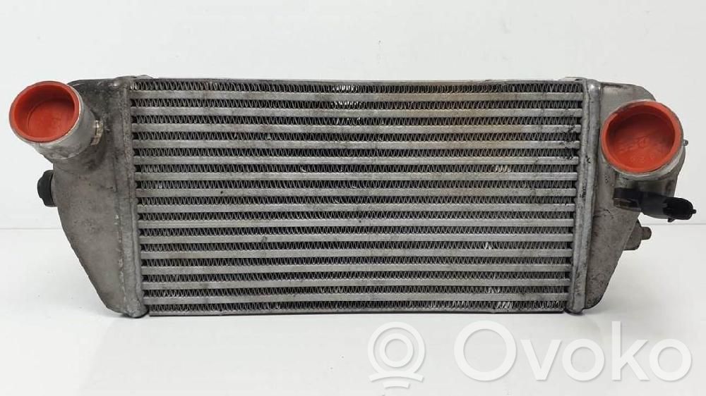 Radiatore intercooler   281904X90X