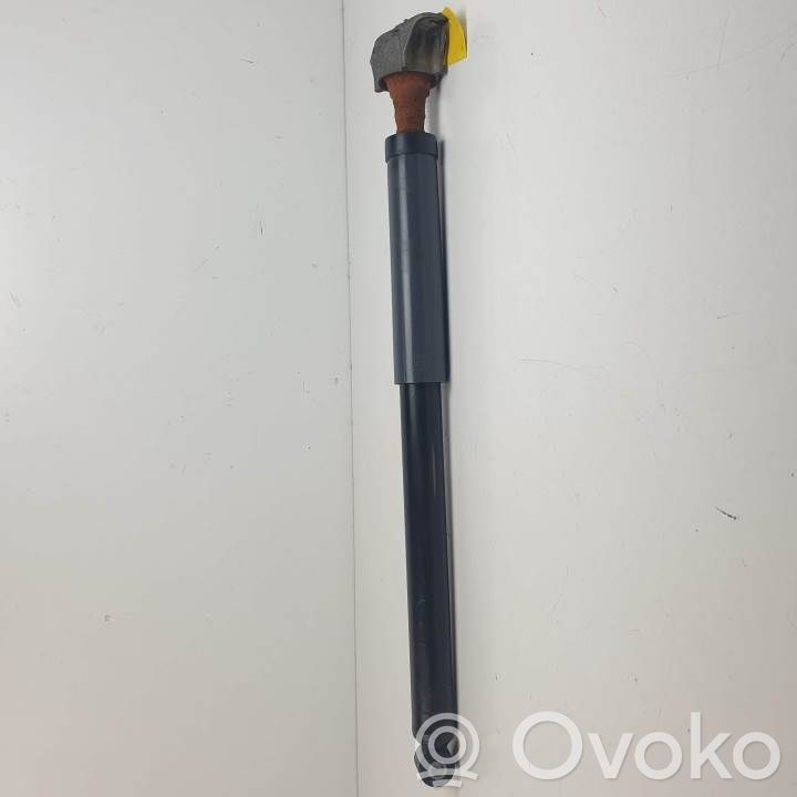Ford Focus Rear shock absorber/damper 