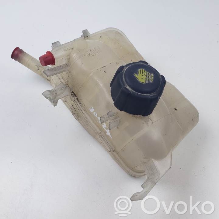 Renault Megane III Zbiornik wyrównawczy chłodziwa 