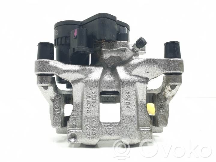 Takajarrusatula   BGKM26990