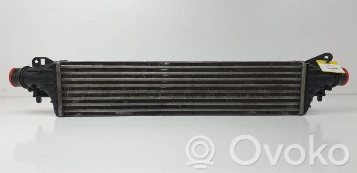 Ladeluftkühler   8E3951000