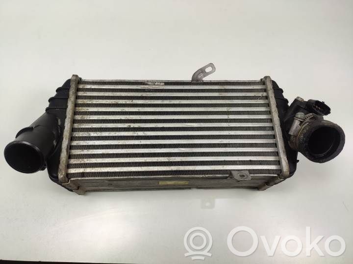 Radiador intercooler   282702A770