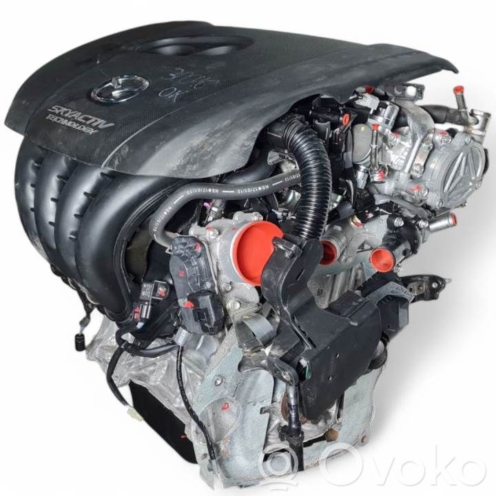 Motor