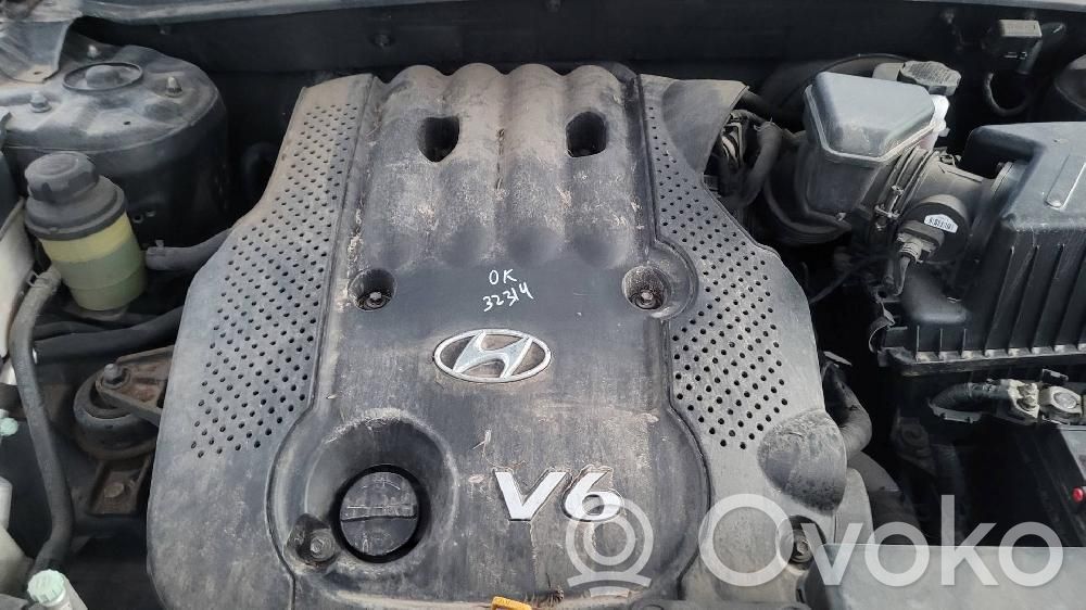 Hyundai Santa Fe Moteur 