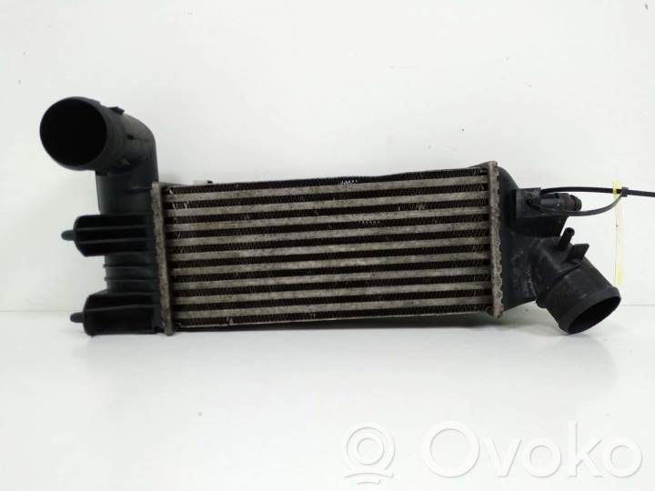 Citroen C5 Ladeluftkühler 